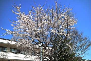 IMG_2585.JPG